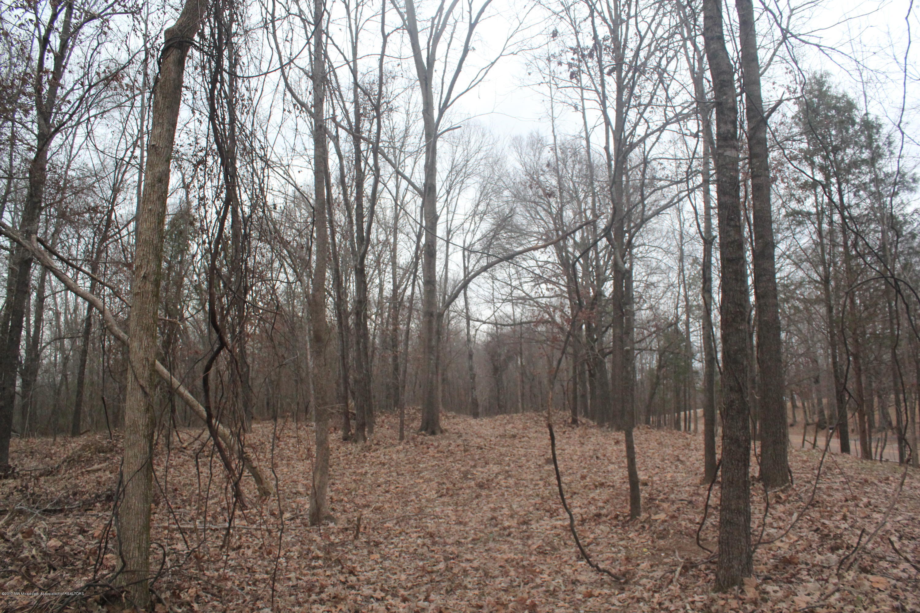 3 Tulane Rd Lake Nesbit, MS 38651 - Photo 19 of 31 033