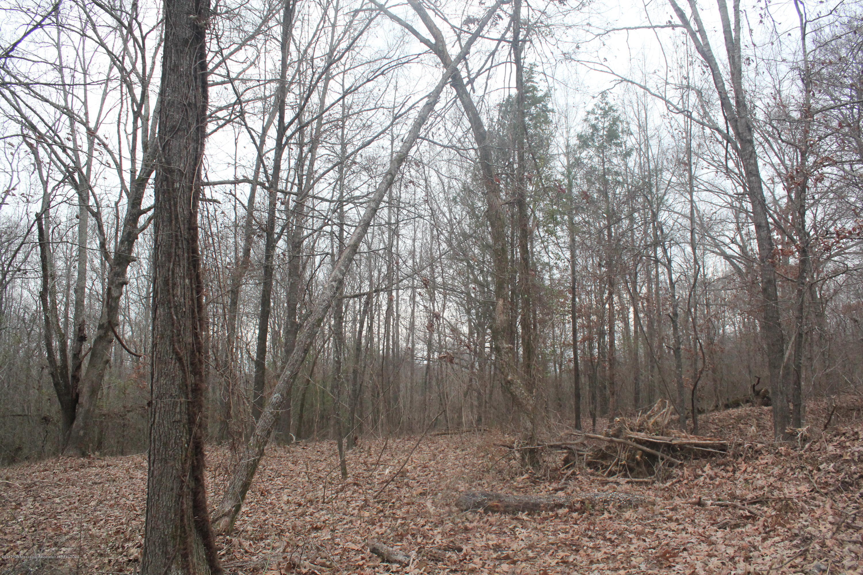 3 Tulane Rd Lake Nesbit, MS 38651 - Photo 20 of 31 034