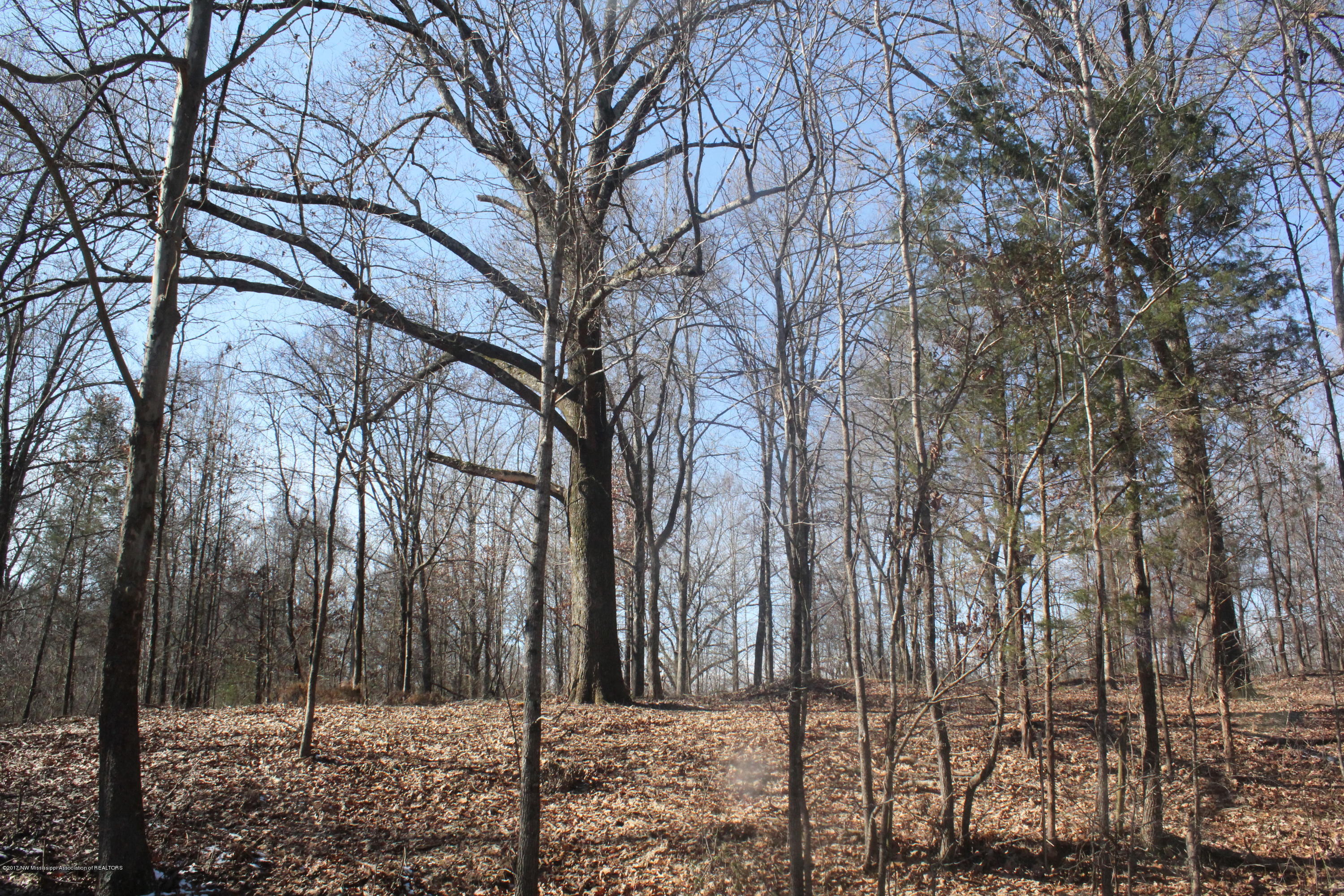 3 Tulane Rd Lake Nesbit, MS 38651 - Photo 2 of 31 002