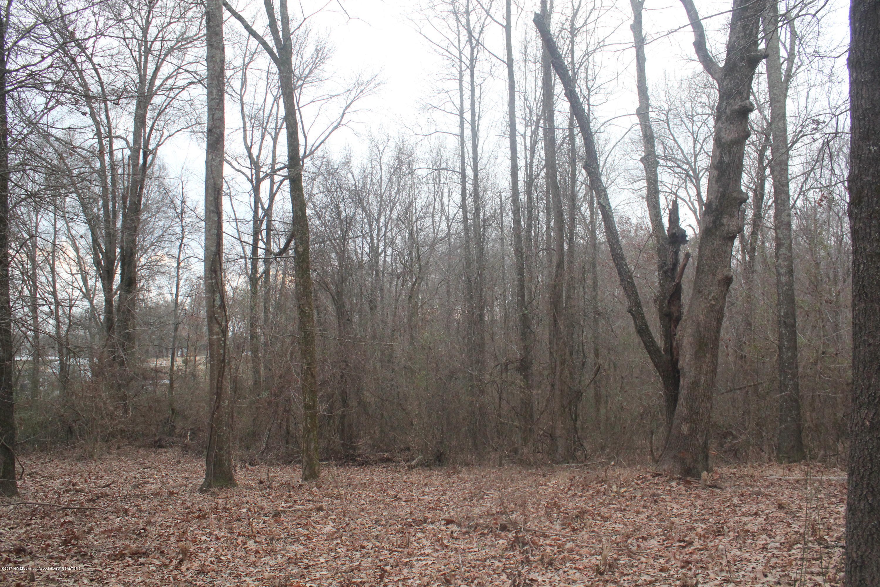 3 Tulane Rd Lake Nesbit, MS 38651 - Photo 21 of 31 035