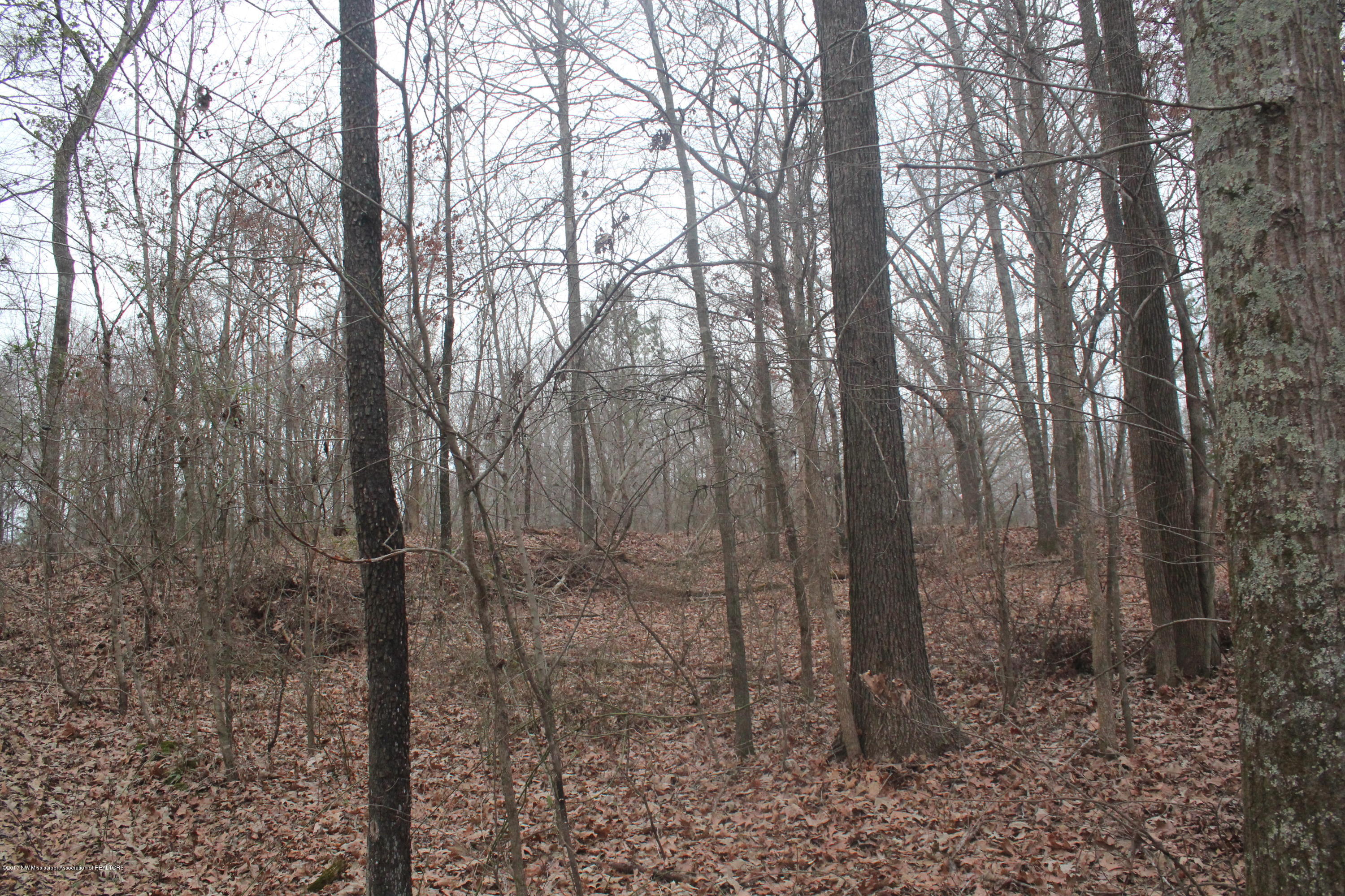 3 Tulane Rd Lake Nesbit, MS 38651 - Photo 22 of 31 037
