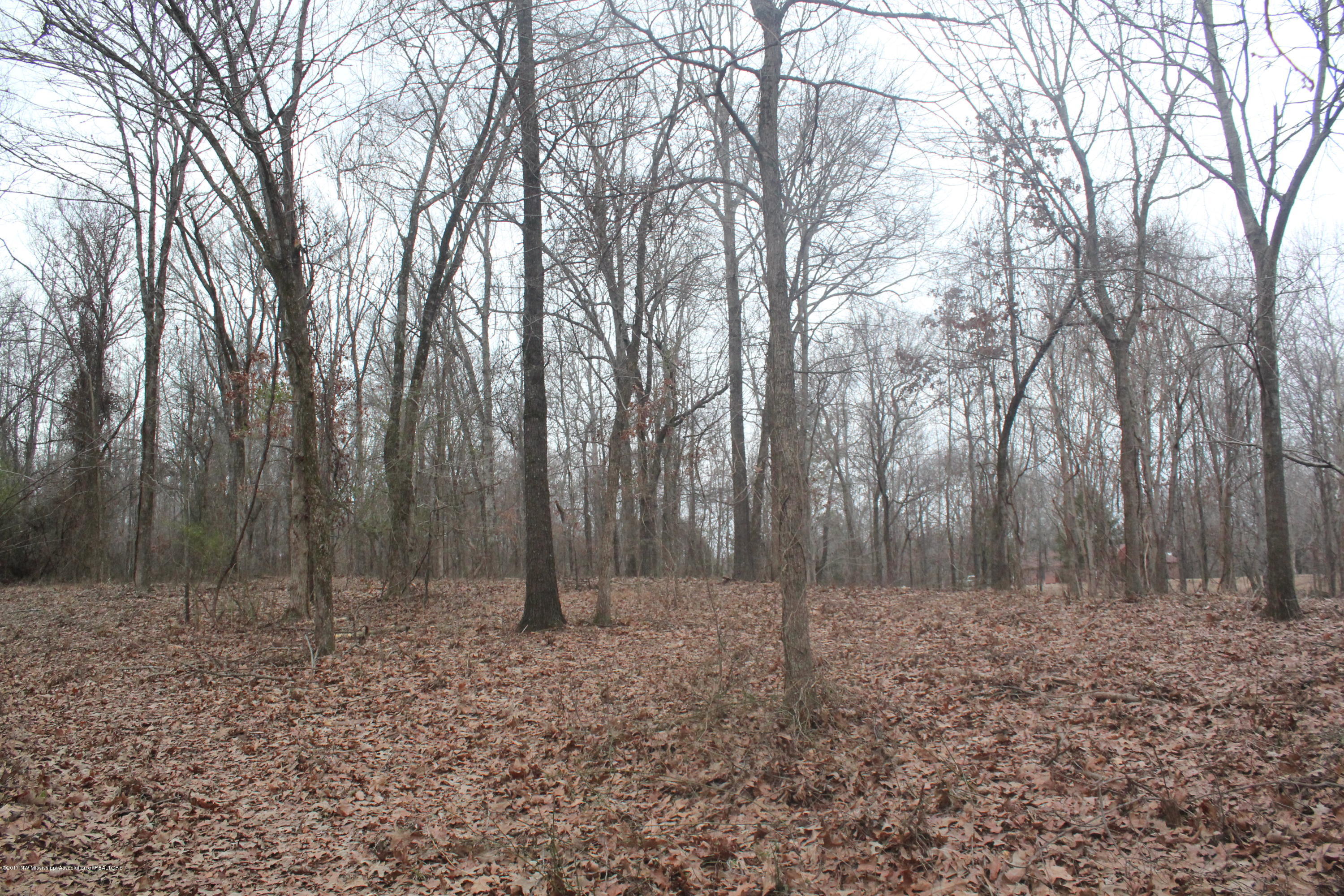 3 Tulane Rd Lake Nesbit, MS 38651 - Photo 23 of 31 039