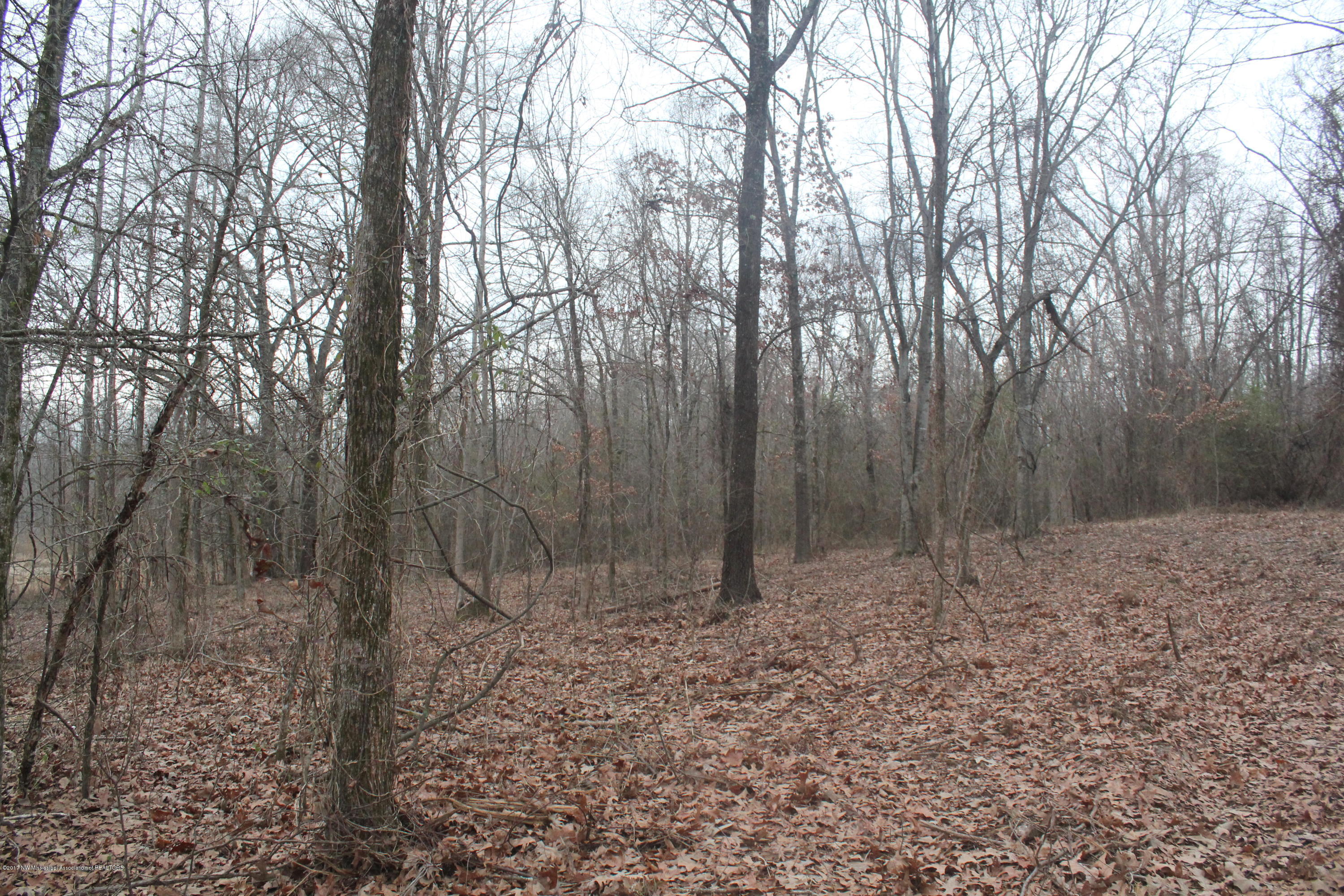 3 Tulane Rd Lake Nesbit, MS 38651 - Photo 24 of 31 040