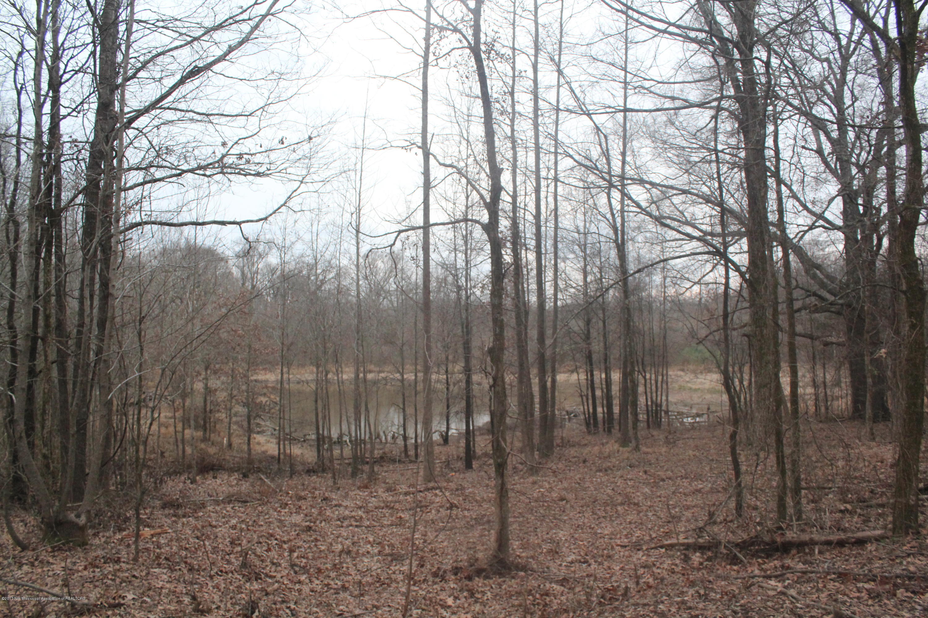 3 Tulane Rd Lake Nesbit, MS 38651 - Photo 25 of 31 041