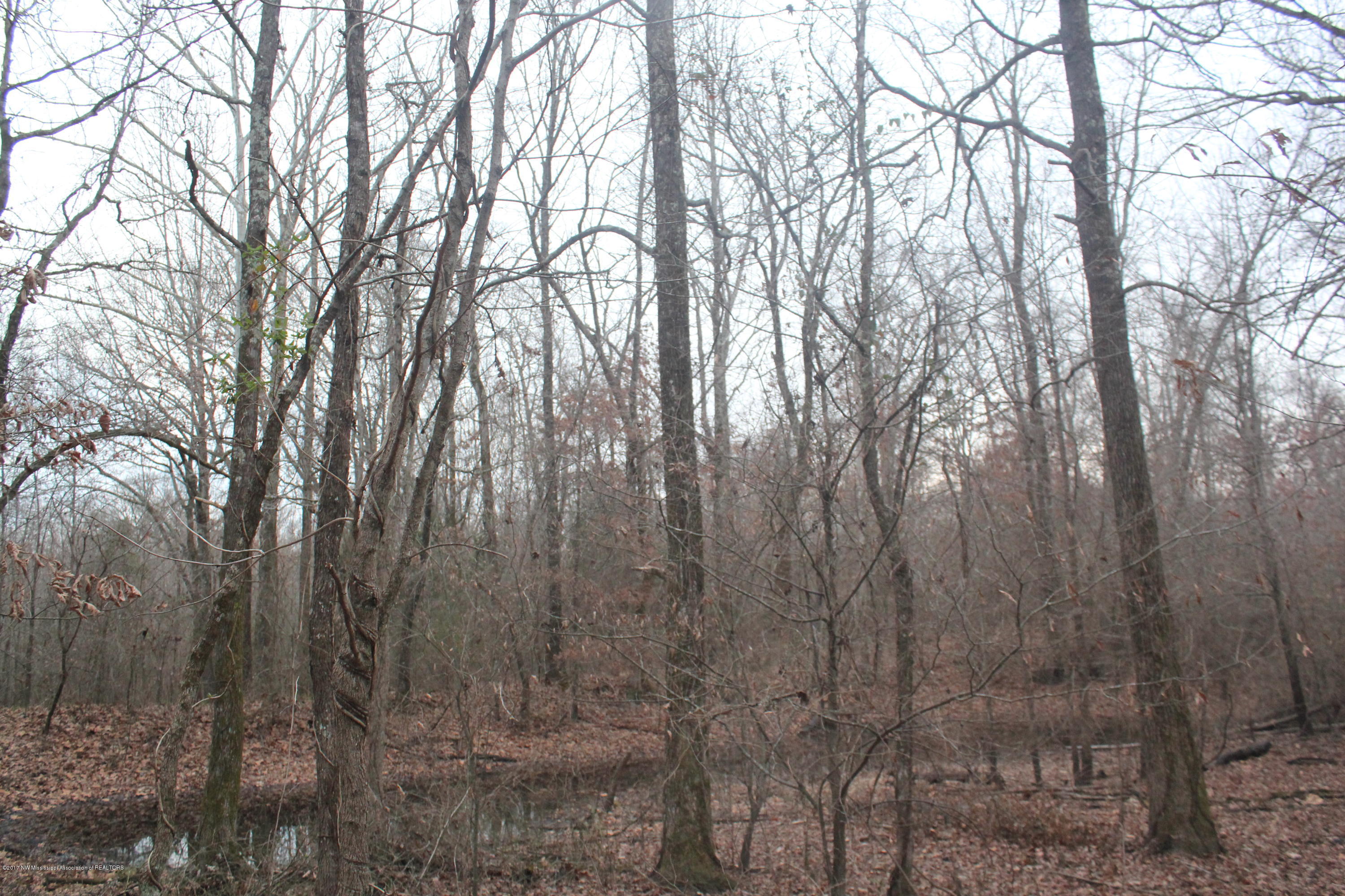 3 Tulane Rd Lake Nesbit, MS 38651 - Photo 28 of 31 047