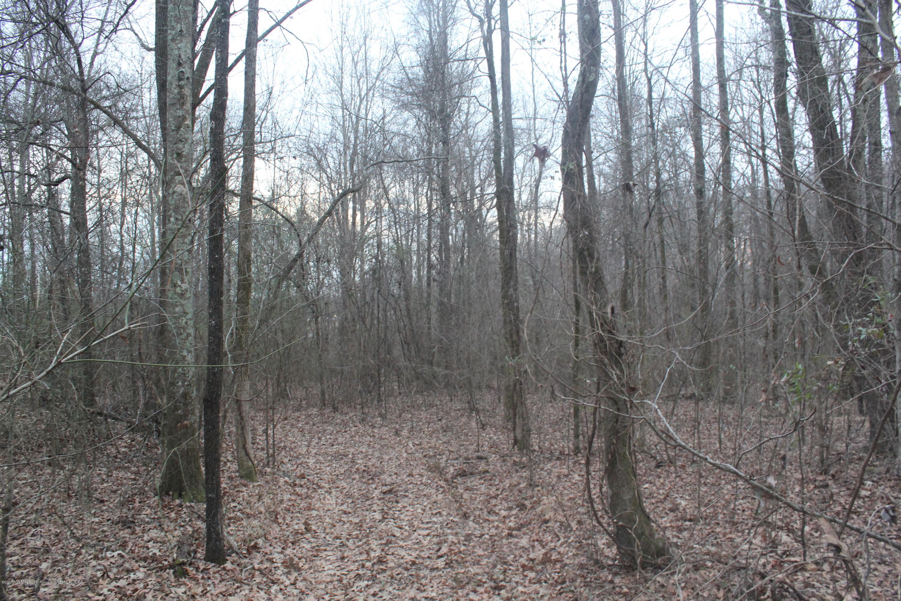 3 Tulane Rd Lake Nesbit, MS 38651 - Photo 30 of 31 051