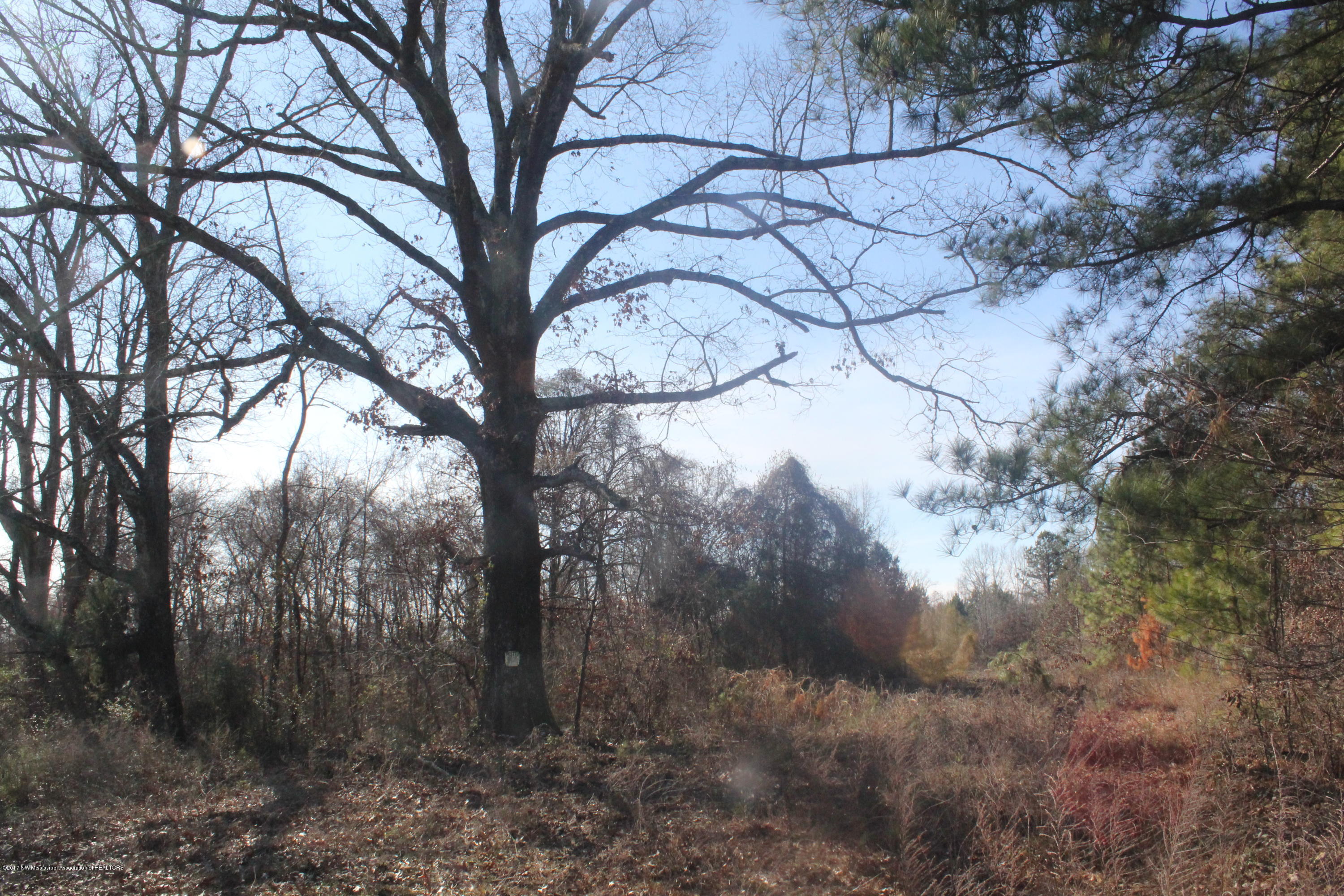 3 Tulane Rd Lake Nesbit, MS 38651 - Photo 6 of 31 008