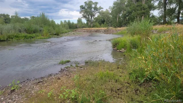 a view of a yard in a yard