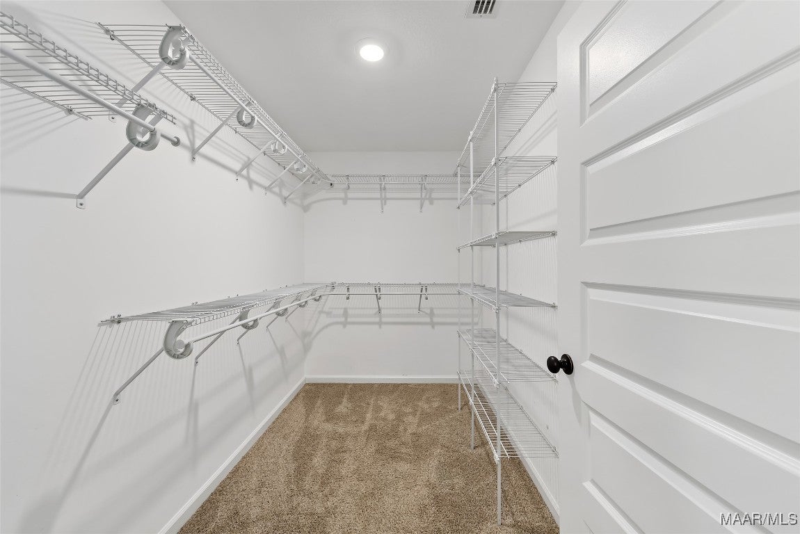 480 Jones Road Newton, AL 36352 - Photo 20 of 27 Gallery Image 20