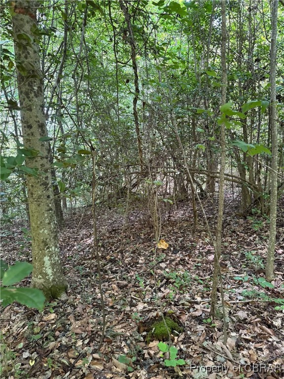 5.7-ac Dutton Road Gloucester, VA 23061 - Photo 20 of 21