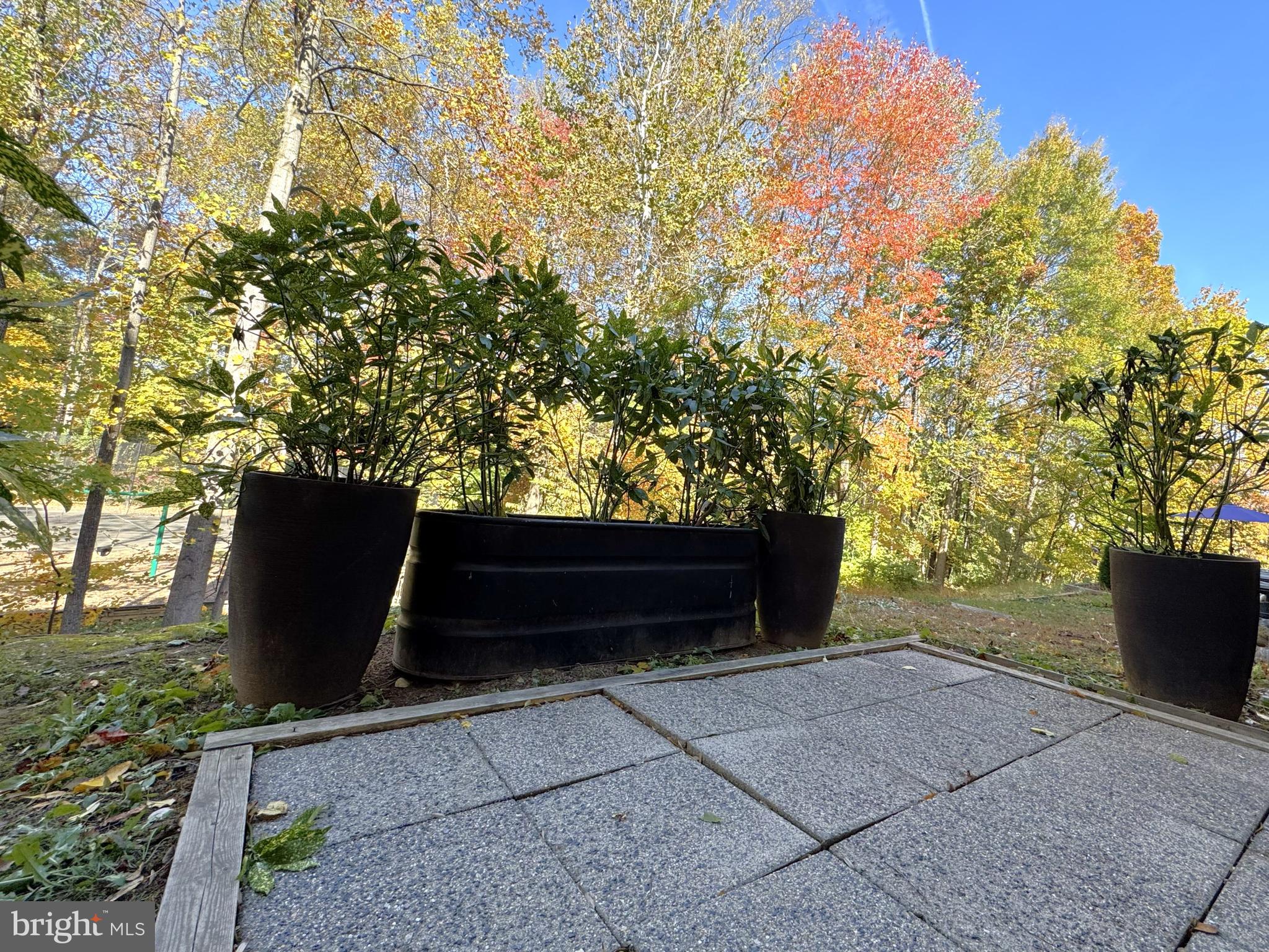 12012 Golf Ridge Court, Unit 102 Fairfax, VA 22033 - Photo 3 of 26 a view of outdoor space and yard