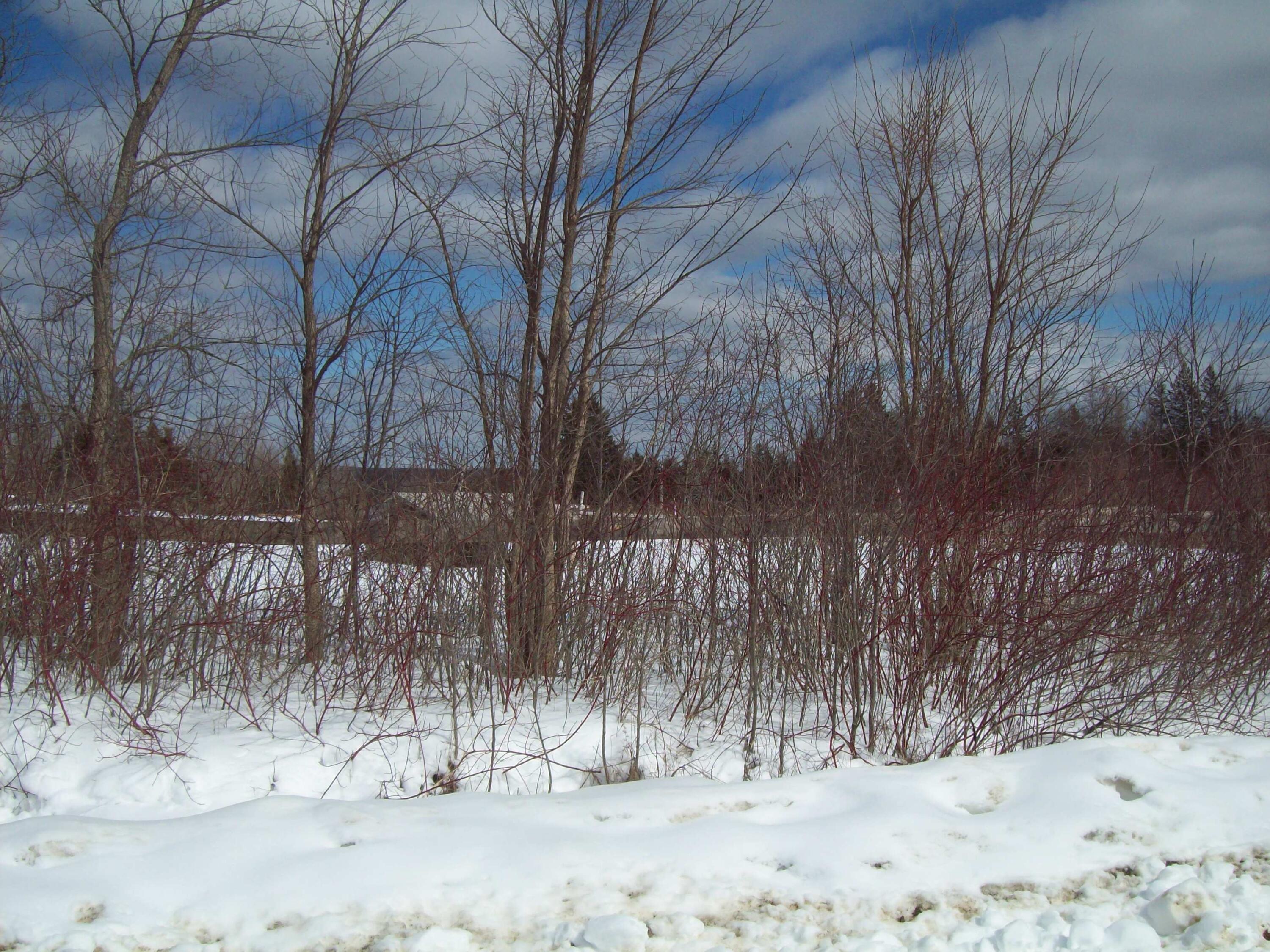760 North Road Carroll Plt, ME 04487 - Photo 6 of 7 100_3365