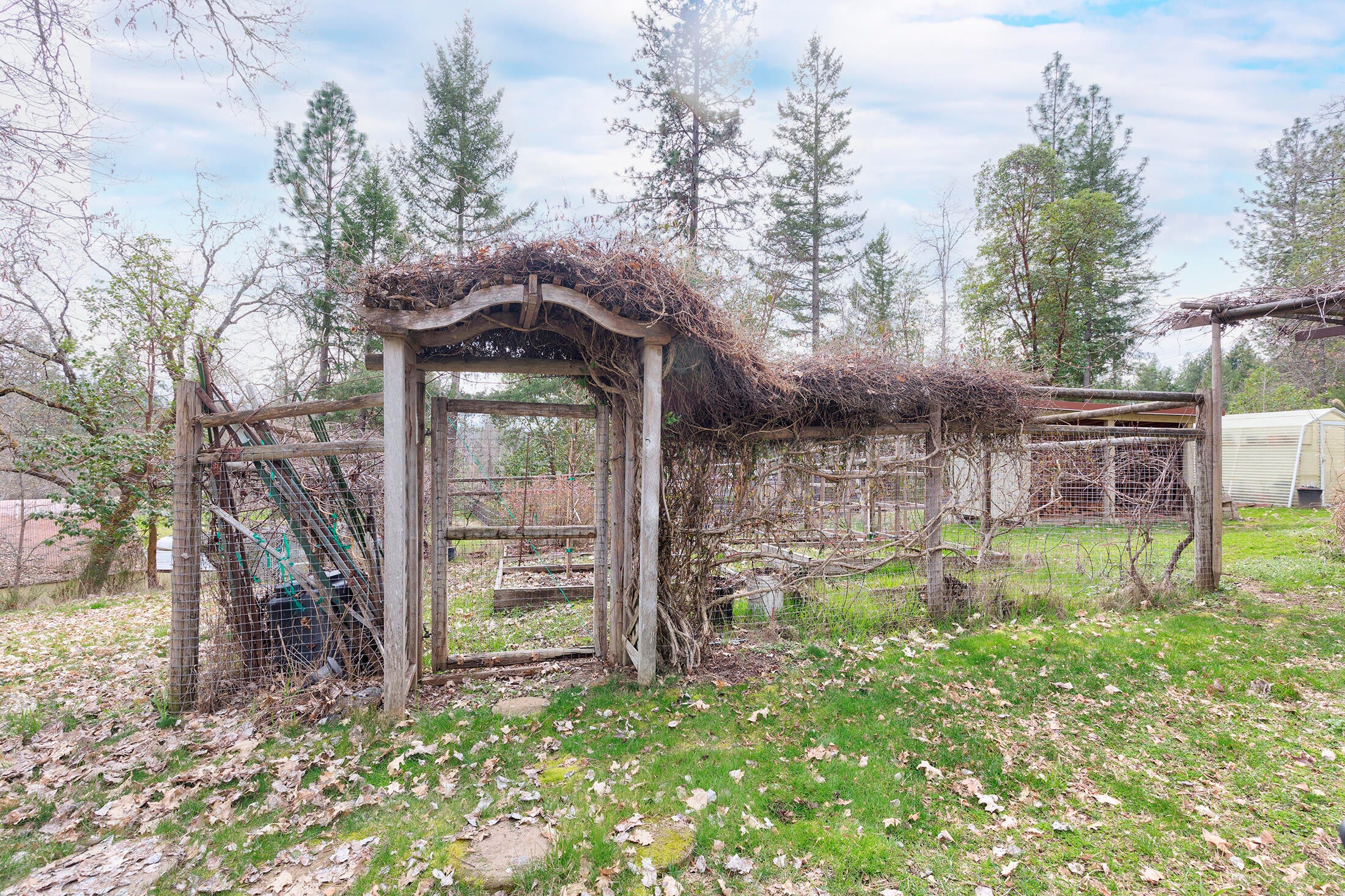 1678 Russell Road Merlin, OR 97532 - Photo 54 of 65 0R1A2438_39_40_41_42