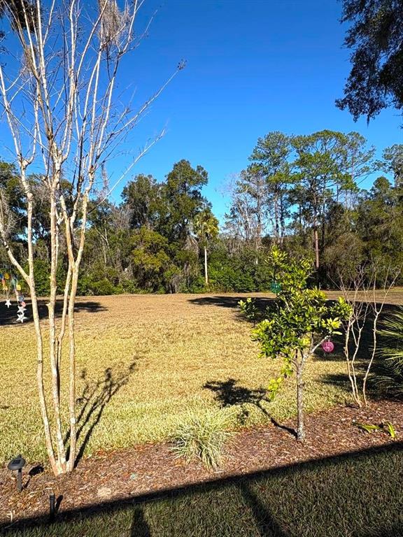 19573 Southwest 84th Place Dunnellon, FL 34432 - Photo 26 of 37