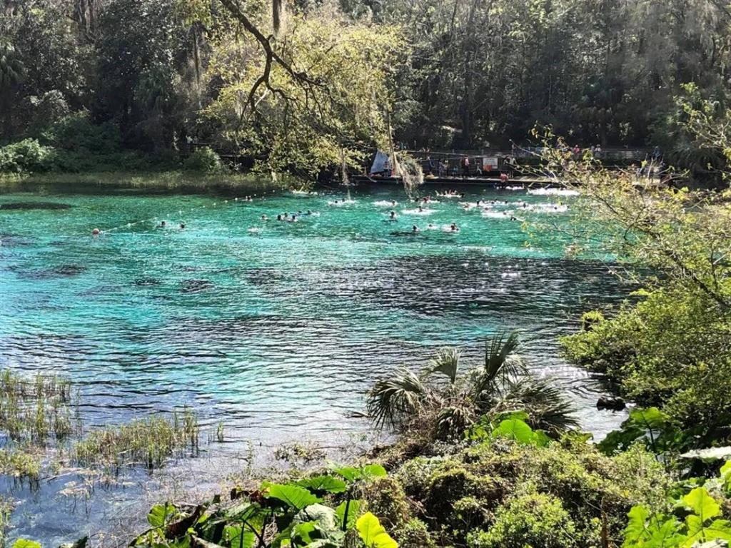 19573 Southwest 84th Place Dunnellon, FL 34432 - Photo 34 of 37