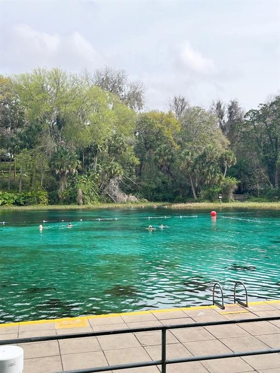 19573 Southwest 84th Place Dunnellon, FL 34432 - Photo 35 of 37