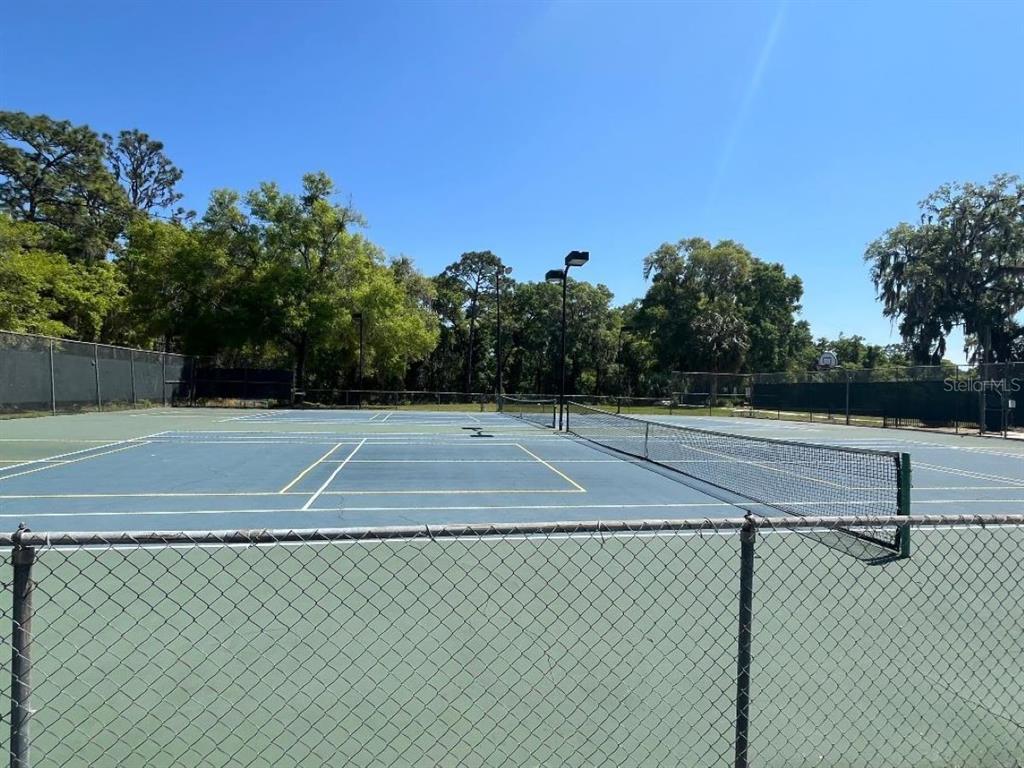 19573 Southwest 84th Place Dunnellon, FL 34432 - Photo 37 of 37