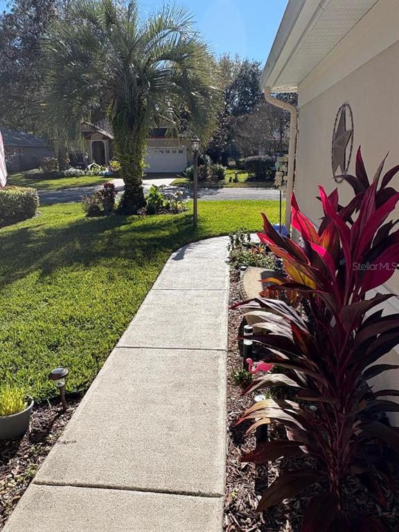 19573 Southwest 84th Place Dunnellon, FL 34432 - Photo 7 of 37