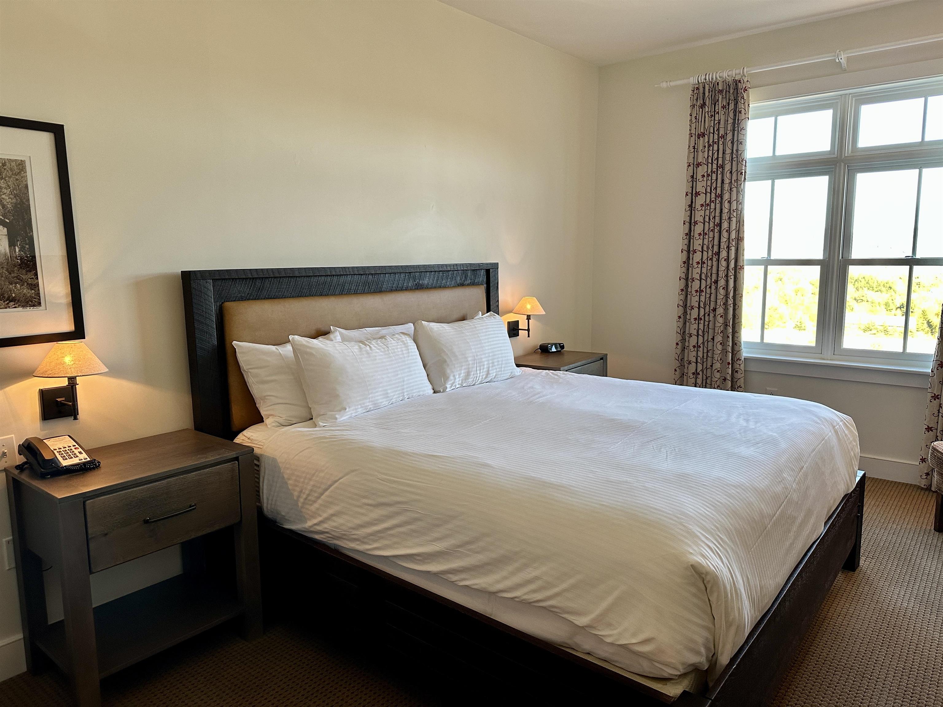 102 Forest Drive, Unit 322 (PLUS LOCKOUT 422)/ I CLAY BROOK AT SUGARBUSH Warren, VT 05674 - Photo 17 of 30