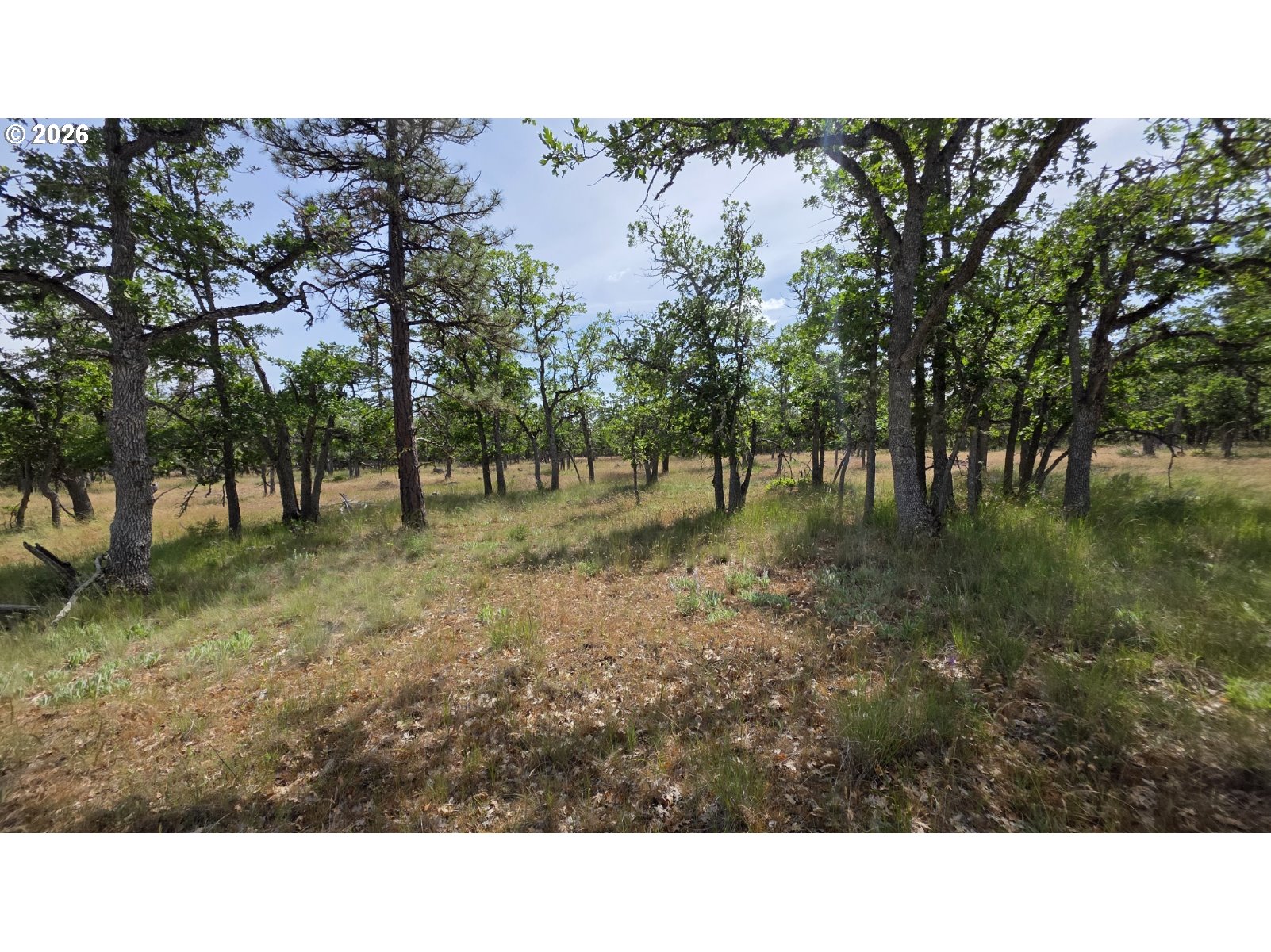 119 Lot Goldendale, WA 98620 - Photo 26 of 29 a black and white photo of a park