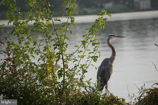 $309,500 | 299 Girard Street, Unit 299C, Havre de Grace, MD 21078