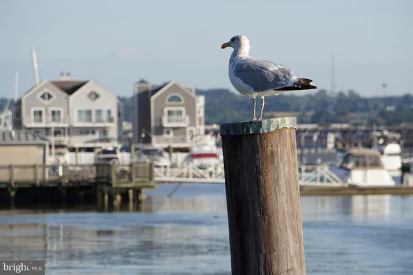 $309,500 | 299 Girard Street, Unit 299C, Havre de Grace, MD 21078