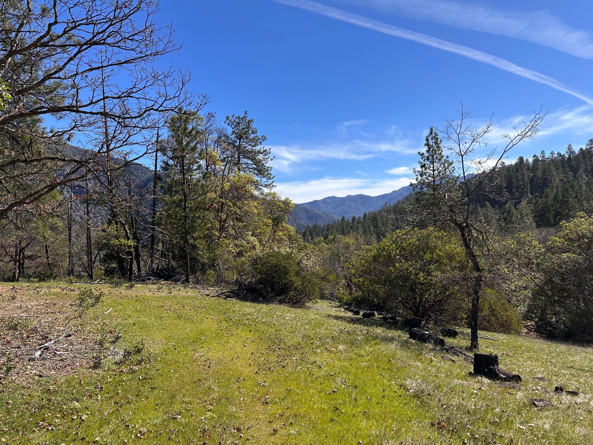 871 Dennis Boulevard Burnt Ranch, CA 95527 - Photo 45 of 47