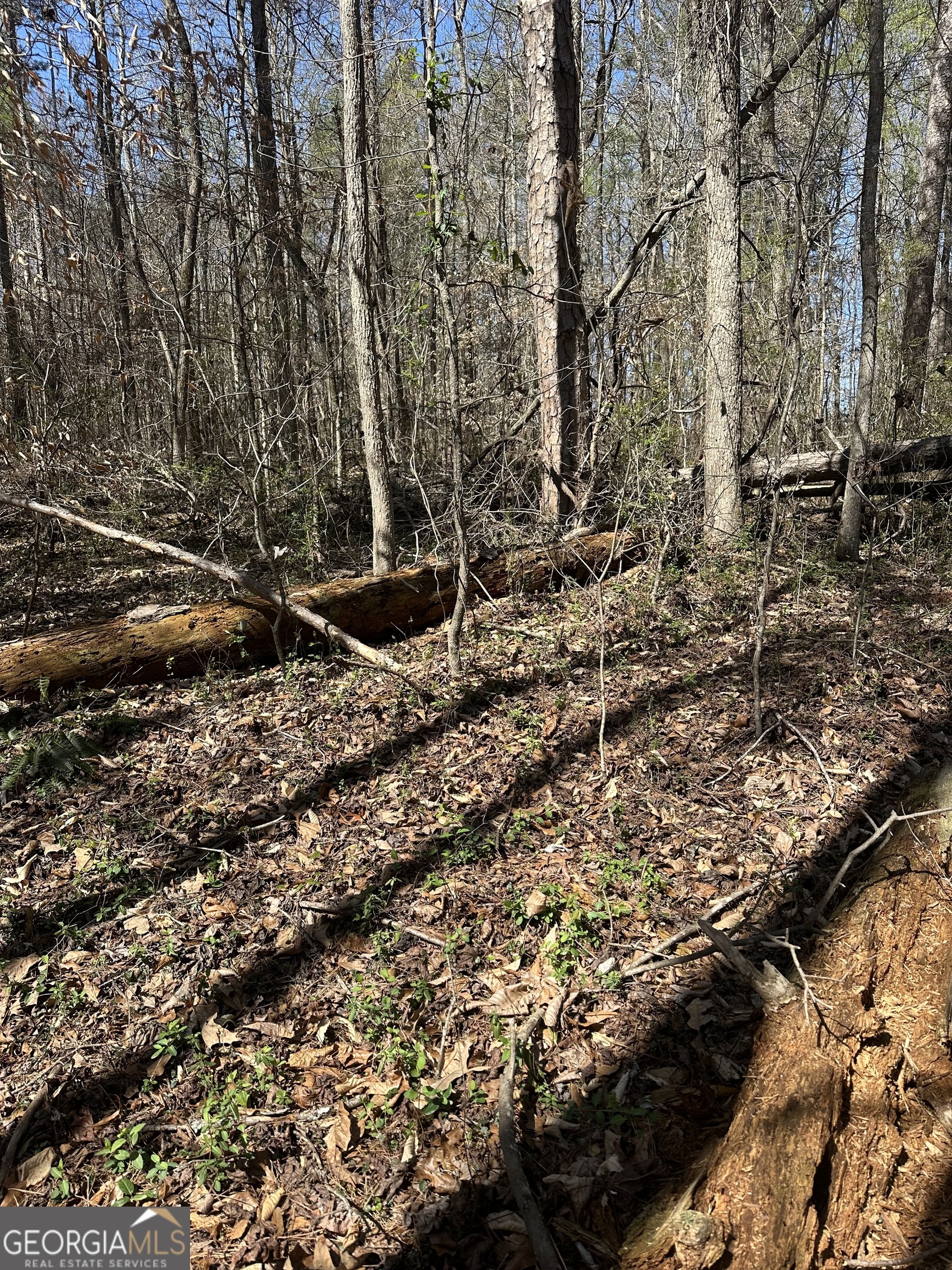 0 Poplar Mountain Lane Carnesville, GA 30521 - Photo 3 of 5 a view of a backyard of the house