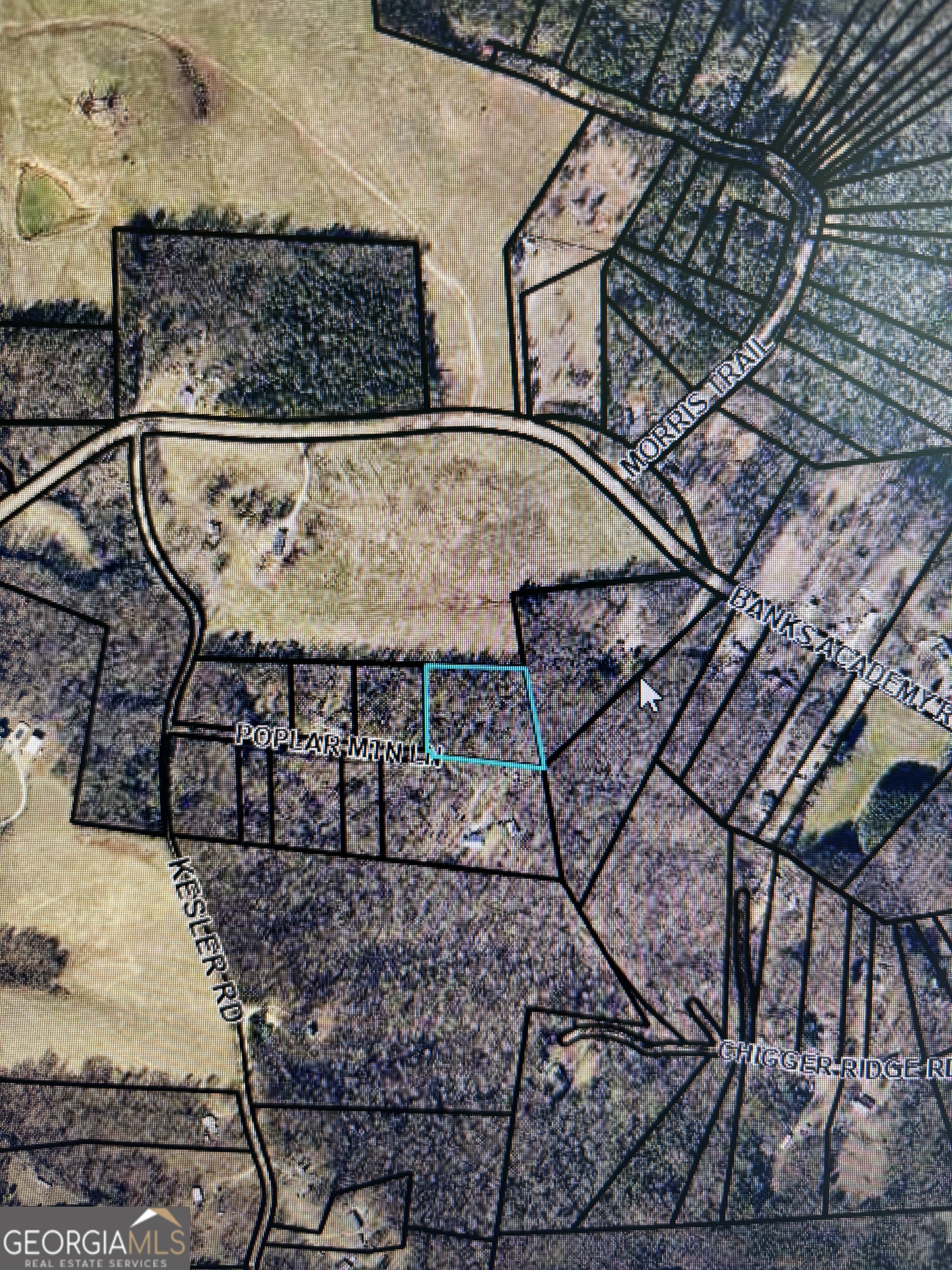 0 Poplar Mountain Lane Carnesville, GA 30521 - Photo 5 of 5