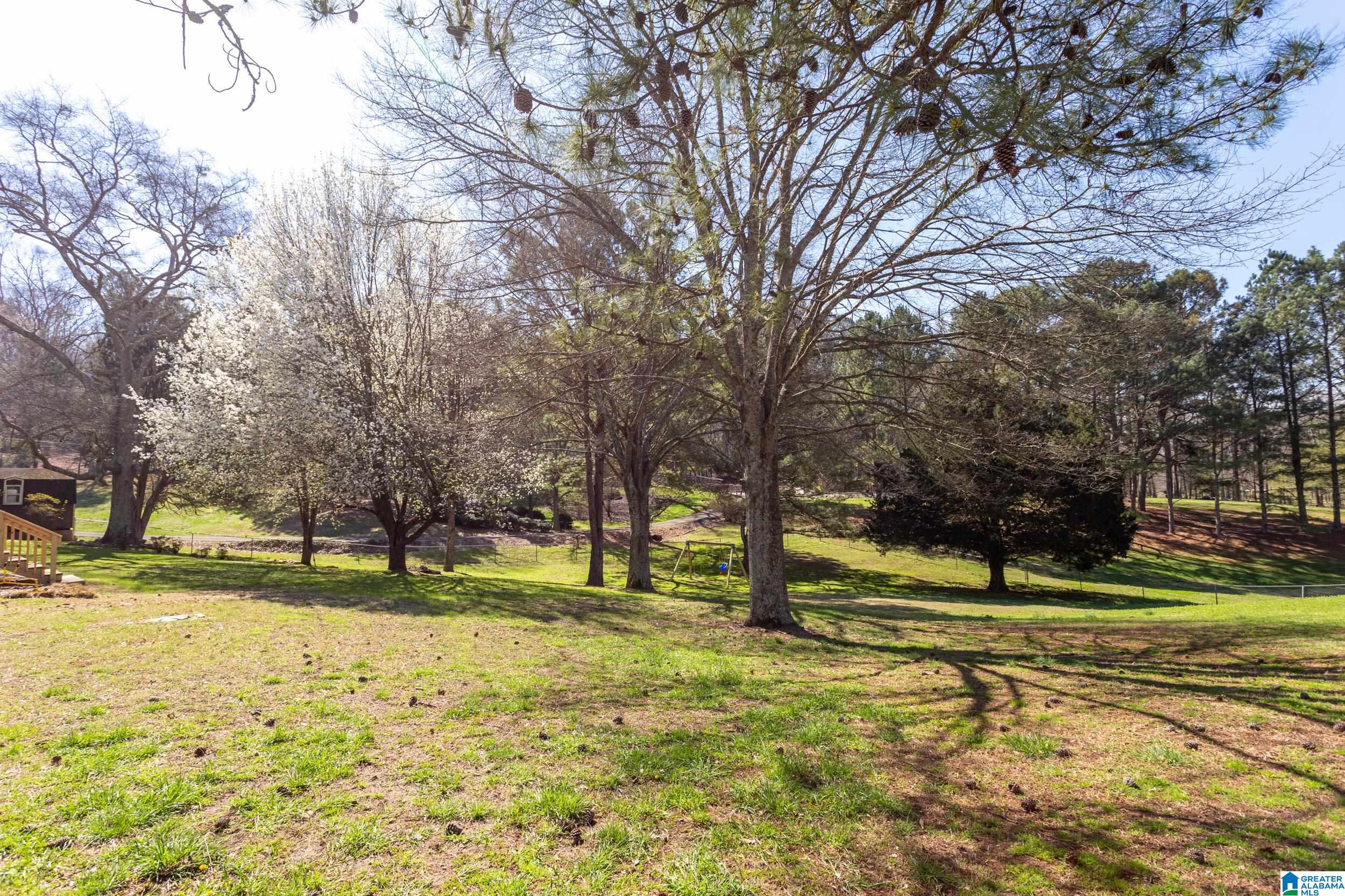 965 Sanie Road Odenville, AL 35120 - Photo 44 of 50