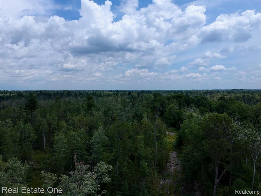 0 South Morrison Road West Branch, MI 48661 - Photo 27 of 38
