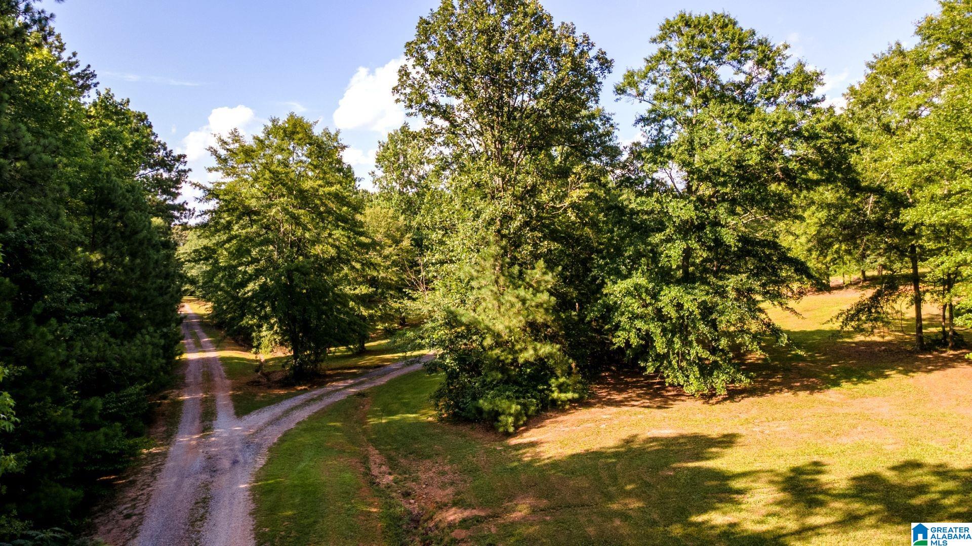 3010 Old Mill Road Ashland, AL 36251 - Photo 46 of 48