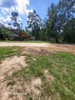 31506 Drake Road Tickfaw, LA 70466 - Photo 3 of 9