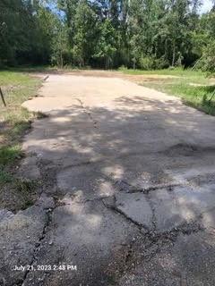 31506 Drake Road Tickfaw, LA 70466 - Photo 5 of 9