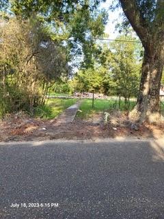 31506 Drake Road Tickfaw, LA 70466 - Photo 7 of 9