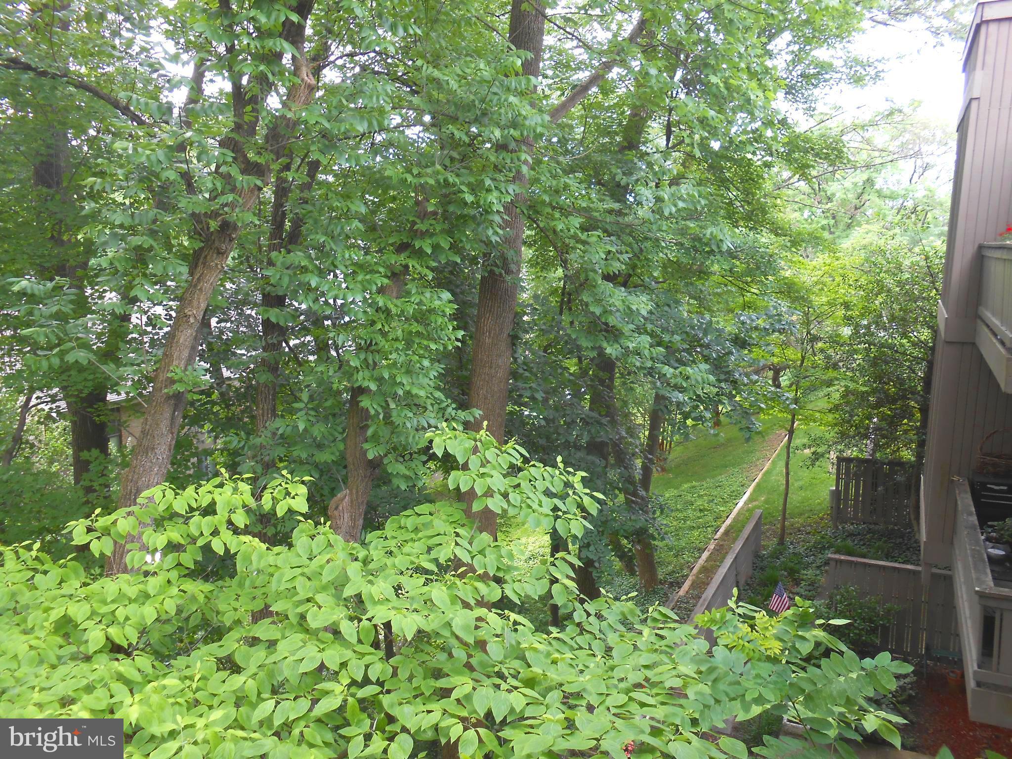 116 Cross Keys Road, Unit R116F Baltimore, MD 21210 - Photo 19 of 26 Peaceful Wooded View , Like living in a tree-house