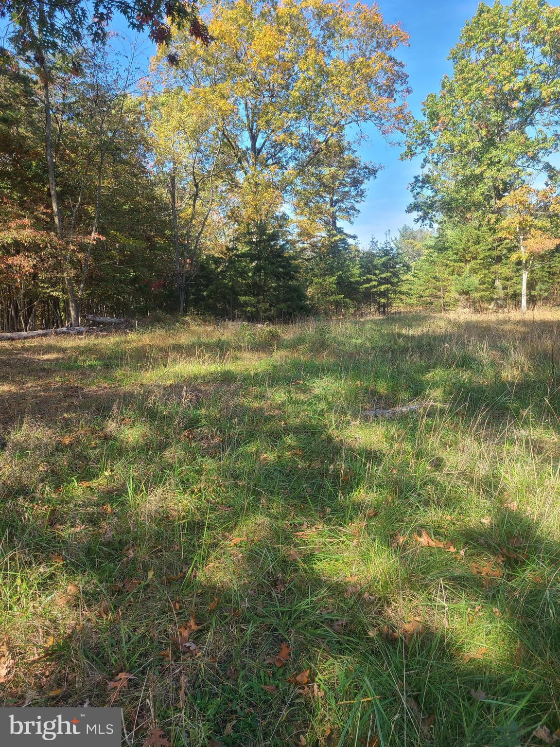 Martin Lane Berkeley Springs, WV 25411 - Photo 1 of 11