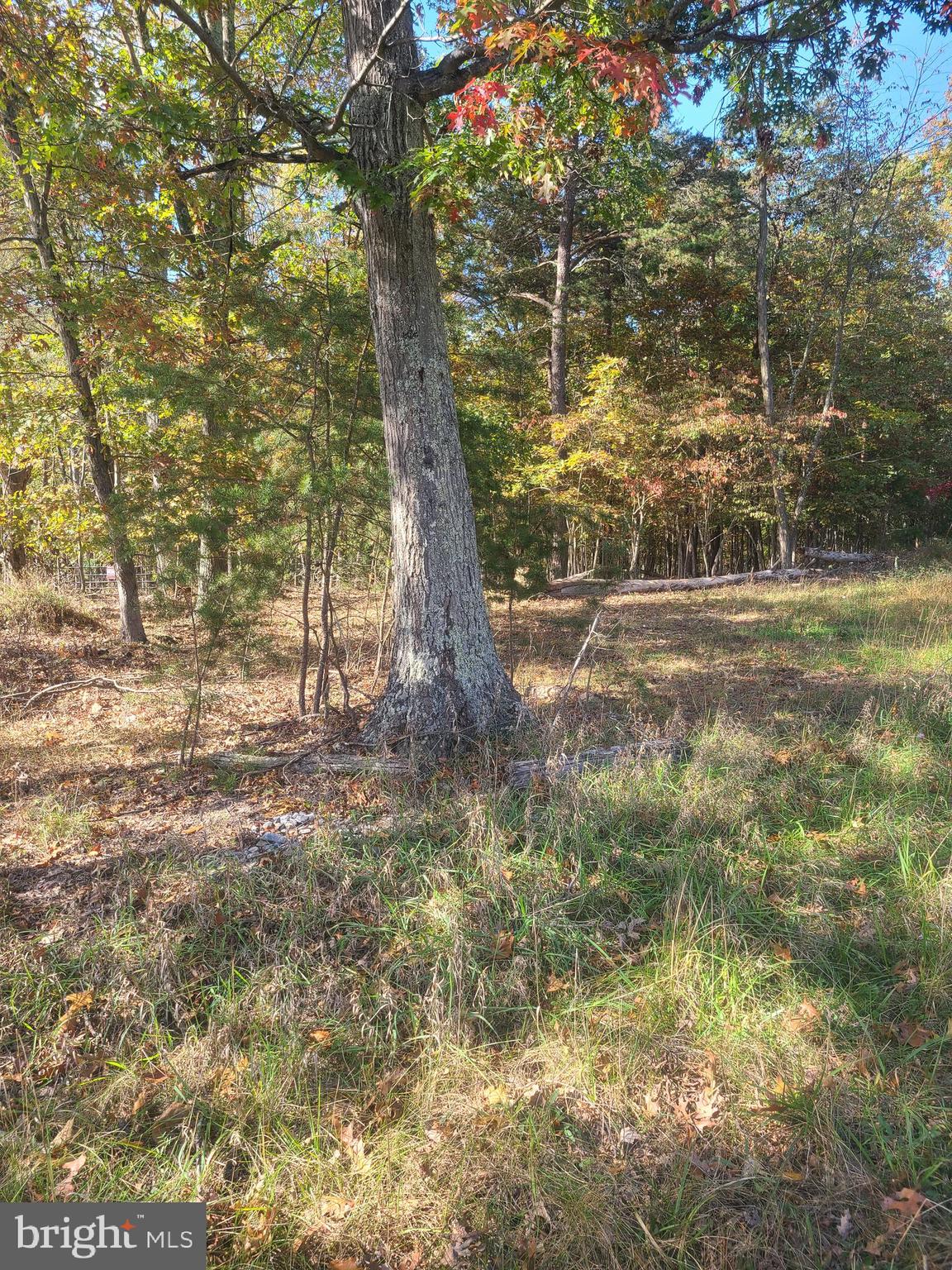 Martin Lane Berkeley Springs, WV 25411 - Photo 3 of 11