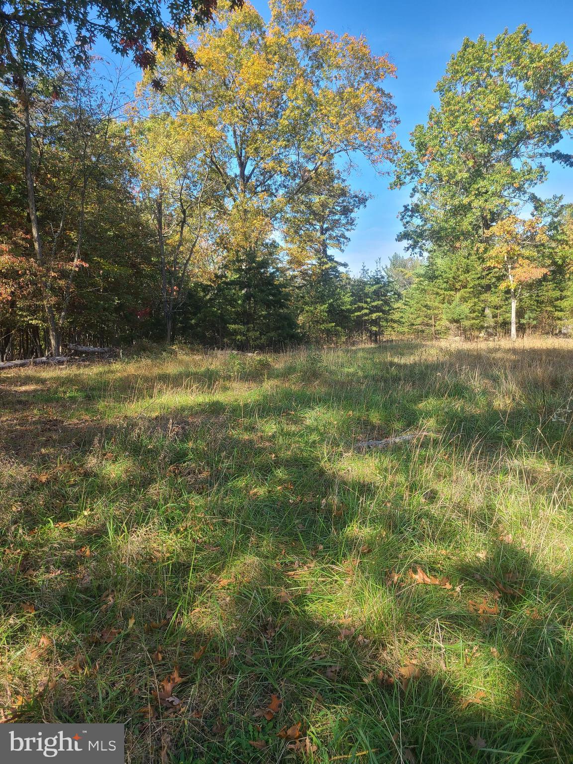 Martin Lane Berkeley Springs, WV 25411 - Photo 4 of 11