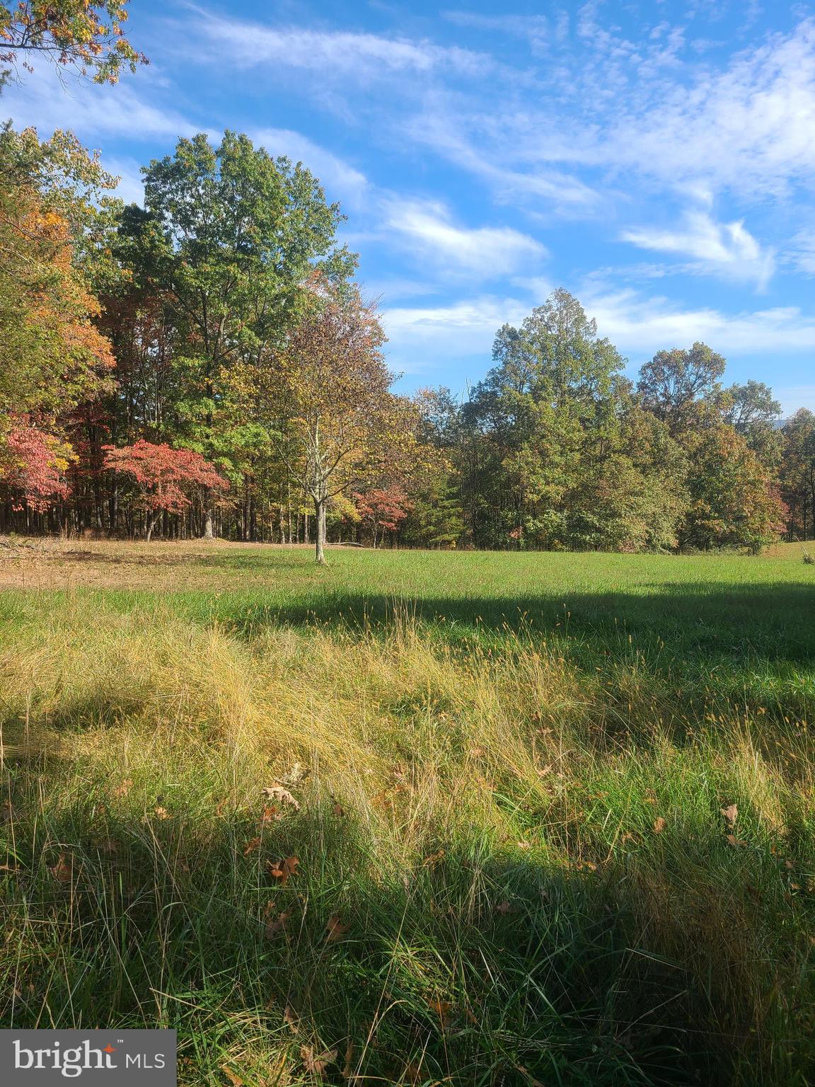 Martin Lane Berkeley Springs, WV 25411 - Photo 6 of 11