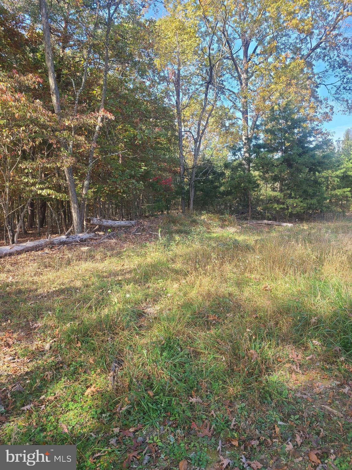 Martin Lane Berkeley Springs, WV 25411 - Photo 8 of 11