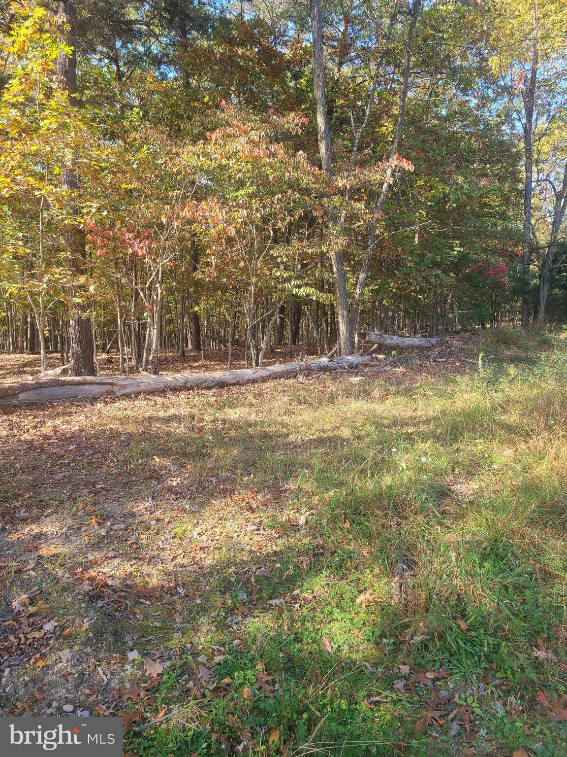Martin Lane Berkeley Springs, WV 25411 - Photo 9 of 11