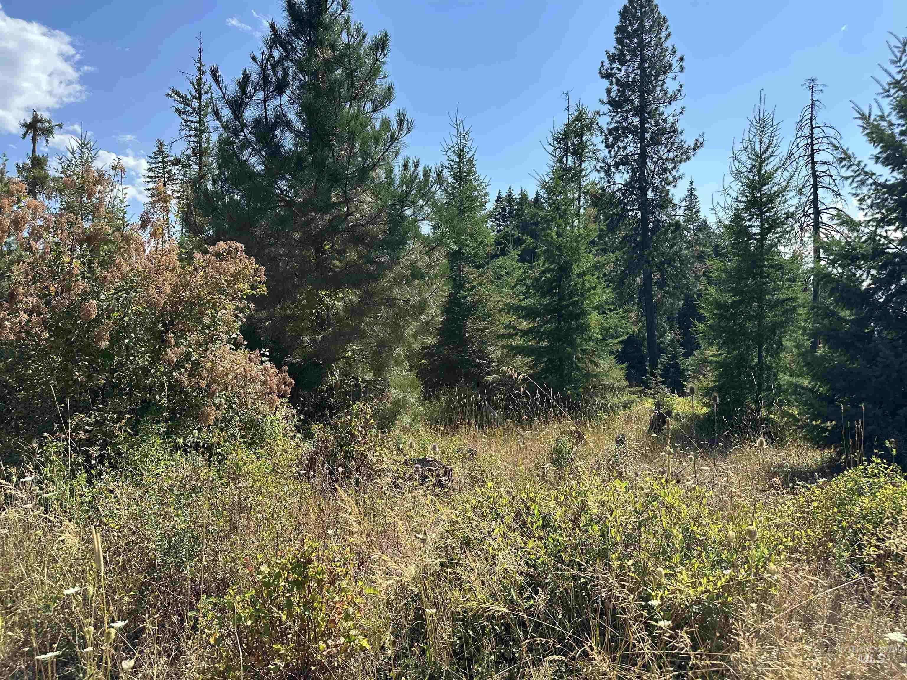 1 Peaceful Valley Road Kamiah, ID 83536 - Photo 8 of 10