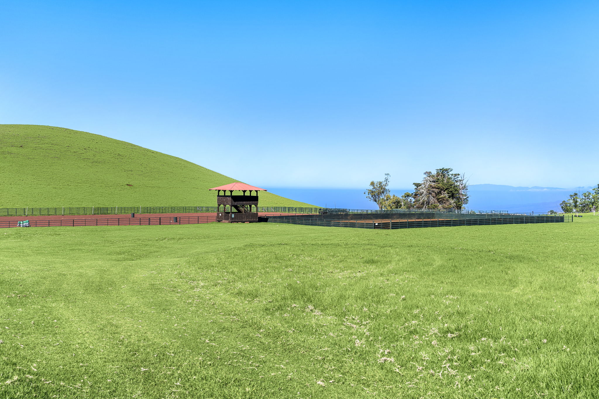 67-1148 Wainoenoe Road Kamuela, HI 96743 - Photo 17 of 28 a green field with lots of tress in it