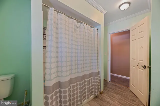 a bathroom with a shower and a toilet