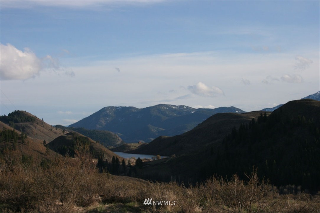 296 Bear Creek Road Winthrop, WA 98862 - Photo 3 of 18 Gallery Image 3