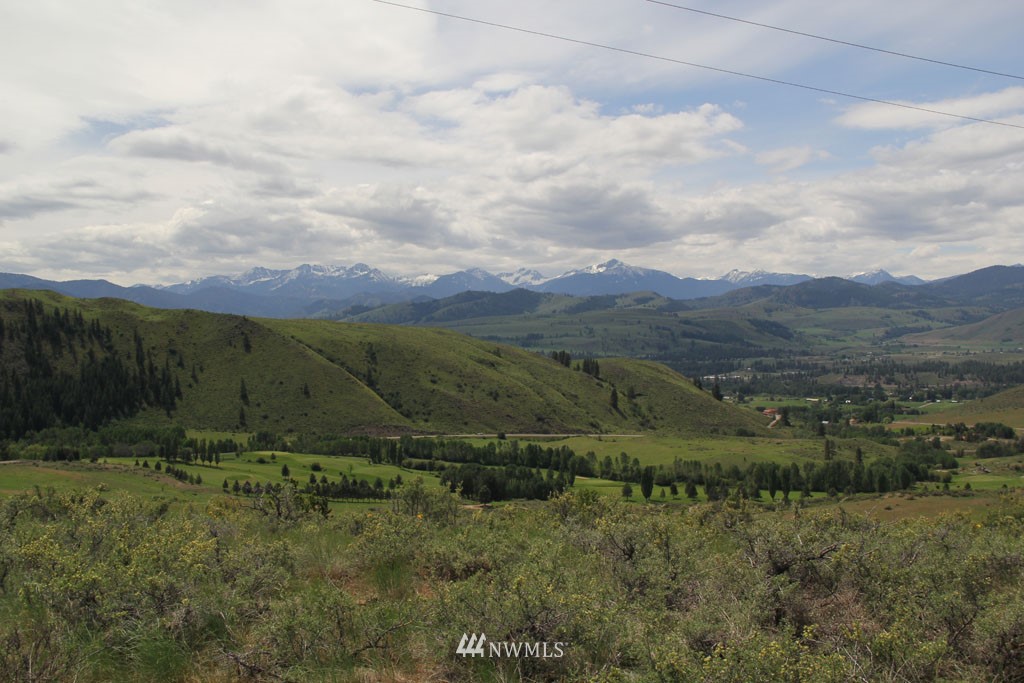 296 Bear Creek Road Winthrop, WA 98862 - Photo 4 of 18 Gallery Image 4