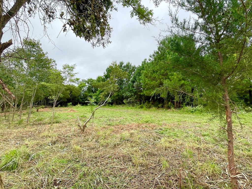 Lot 3 Green Landing Road, Unit 3 Onancock, VA 23417 - Photo 22 of 43