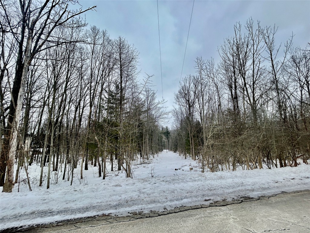 3245 Brown Road Binghamton, NY 13903 - Photo 1 of 8 Gallery Image 1