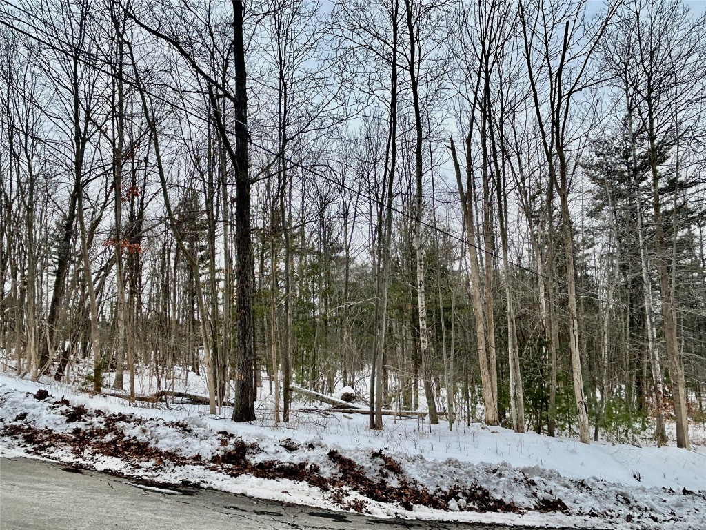 3245 Brown Road Binghamton, NY 13903 - Photo 3 of 8 Gallery Image 3